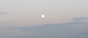 moon01-2.jpg