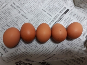 egg06.jpg