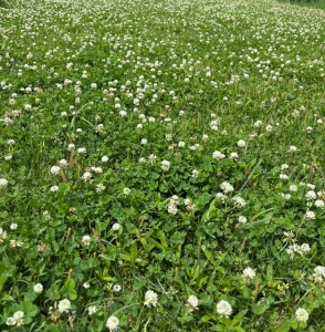field01-2.jpg
