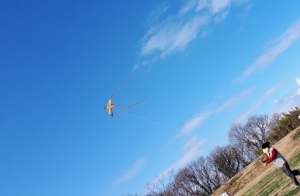 kite4.jpg