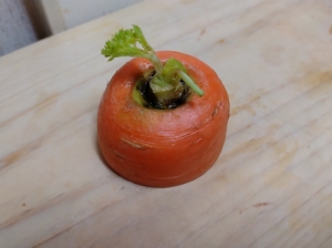 sprout01.jpg