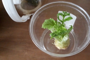 sprout02.jpg