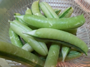 vege04.jpg